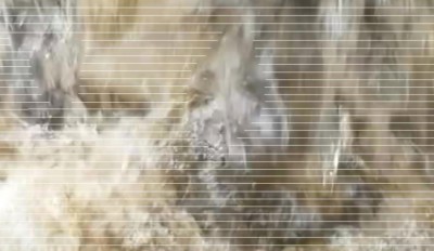 7. IMG_20231117_1356 -b.jpg