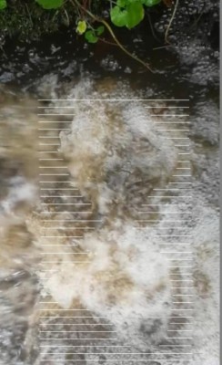 1. IMG_20231120_0934.jpg