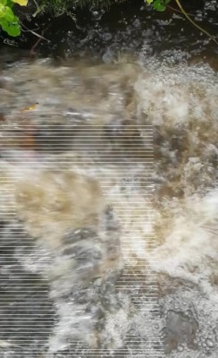 3. IMG_20231120_1058.jpg