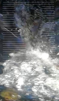 2.  IMG_20231123_1313.jpg