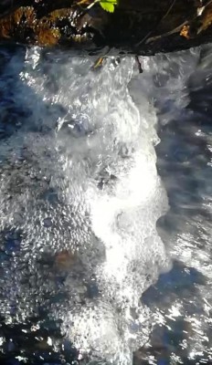 4. IMG_20231123_1835.jpg