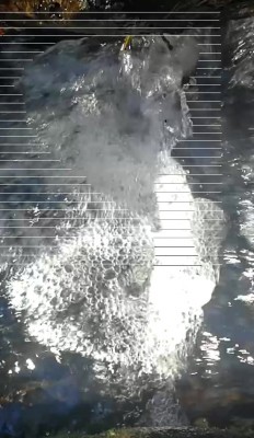 5. IMG_20231123_1531.jpg