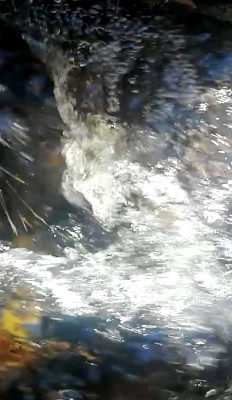 7. IMG_20231125_0856.jpg