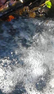 1. IMG_20231123_1836.jpg