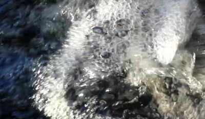 3. IMG_20231130_0813 -a.jpg