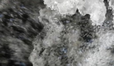 1. IMG_20231205 -1.jpg