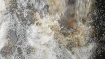 5. IMG_20231122 -5.jpg