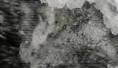 2. IMG_20231215_0727 -b.jpg