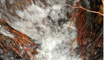 1. IMG_20231228_1600 -b.jpg