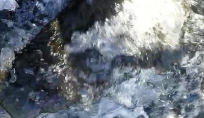 5. IMG_20240122_1344.jpg