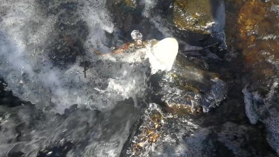 6. IMG_20240125_0824 -bonus.jpg