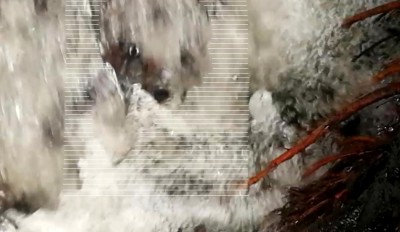 2. IMG_20240106_1359.jpg