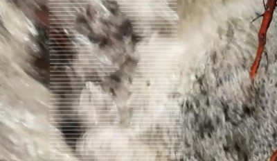 3 IMG_20240116_0809.jpg