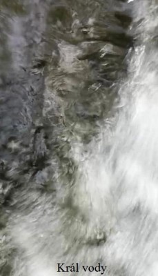 IMG_Král vody.jpg