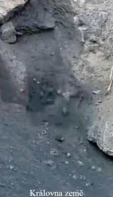 2. IMG_Královna země.jpg